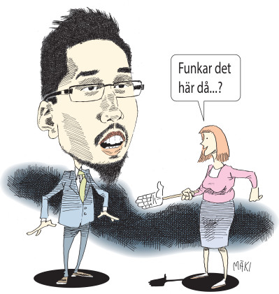 Copyright Kjell Nilsson Mäki i samarbete med Ledarsidorna.se