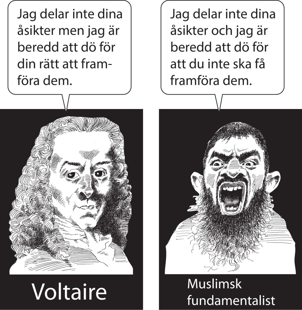 Citatet tillskrivs Voltaire men är ifrågasatt. Bilden Copyright Kjell Nilsson - Mäki för Ledarsidorna.se