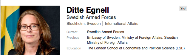 Skärmavbildning Ditte Egnells Linked In sida