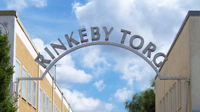 Rinkebysvenska - Ett samhällsproblem