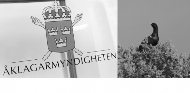 Åklagare om utredningen av Karl Hedin: Det är jättejobbigt