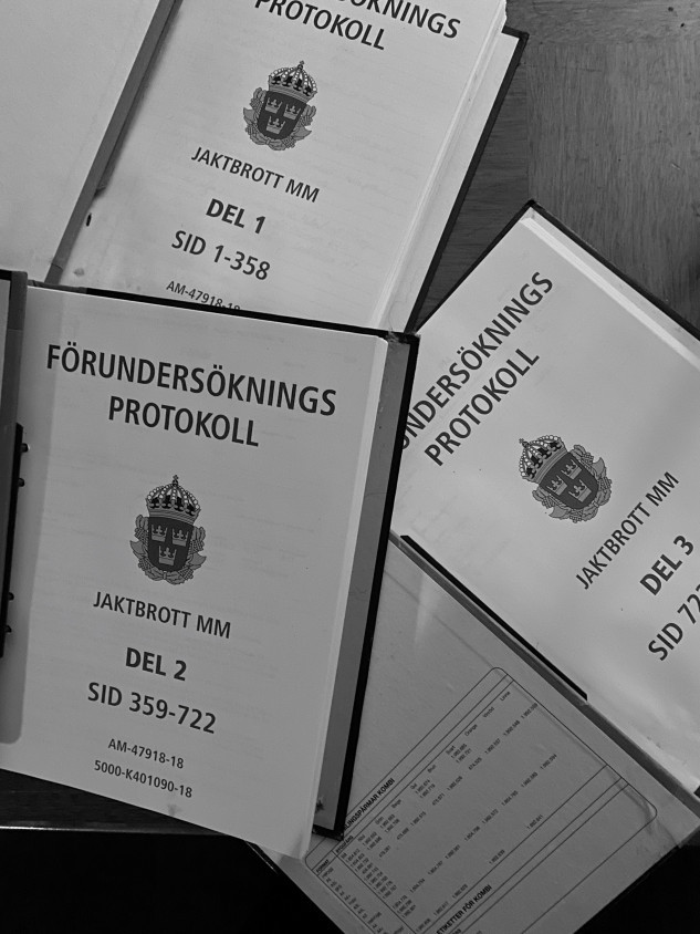 Inte en enda av de rättsliga säkerhetsventilerna löste ut i utredningen mot Hedin