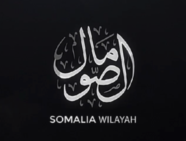 Vilka är IS i Somalia?