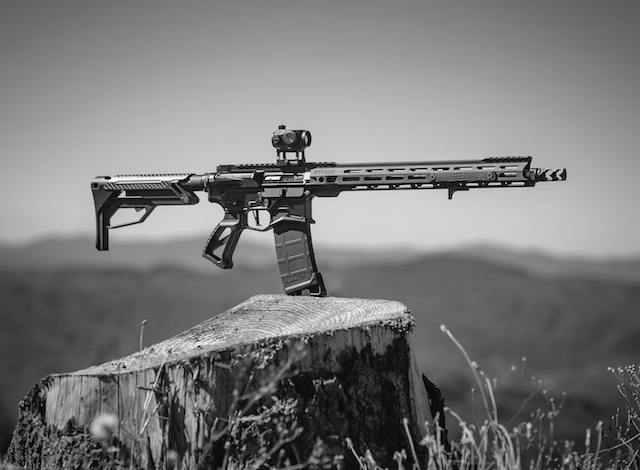 Intellektuellt ohederlig debatt om AR 15