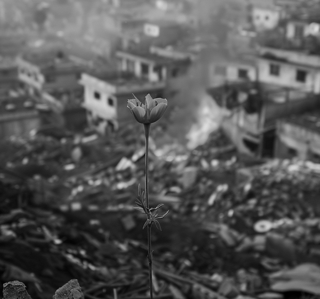 Gaza prioriterar framtid före hämnd