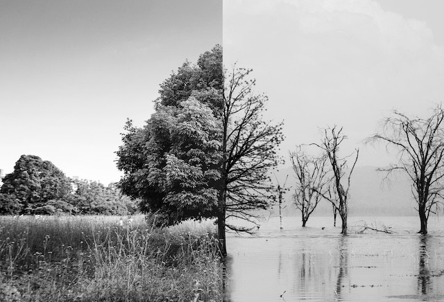 Arton år och fyra misslyckade statsministrar