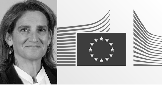 Musk om EU: "Woke Stasi"