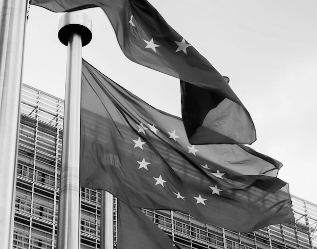 EU splittrat i synen på ryska tillgångar