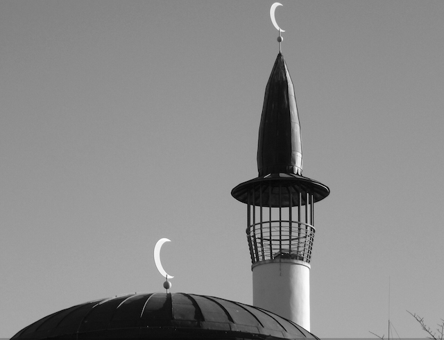 Sveriges mest radikala miljö