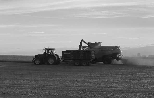 Sverige står inför ett val